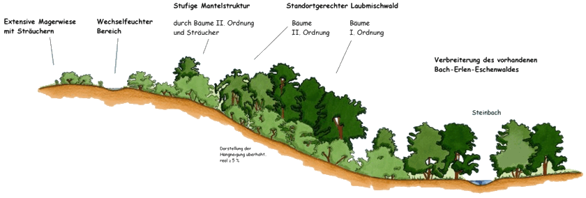 Grafik Schnitt Gelände